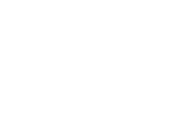 BIIN Logo